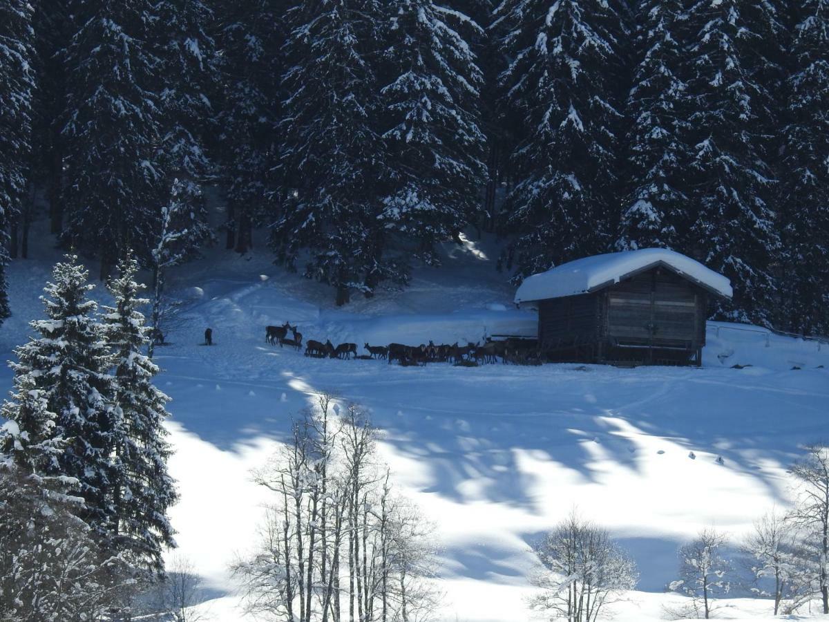 Blockhaus Ganschitter Apartment Grossarl Luaran gambar